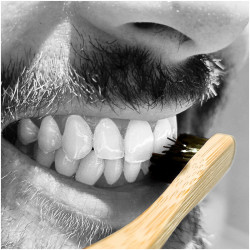 The Brush By Piratframes