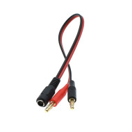 Charge / Discharge Cable DC 5.5 Male To Banana Plugs
