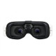 Dominator HDO2.1 FPV Goggles By Fatshark Dominator HDO2.1 FPV Goggles By Fatshark