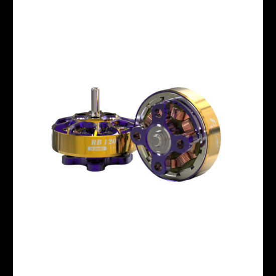 ROBO 1202.5 11500KV Motor By Flywoo ROBO 1202.5 11500KV Motor By Flywoo