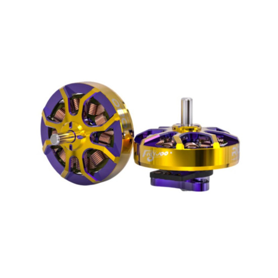 ROBO 1002 19800KV Motor By Flywoo