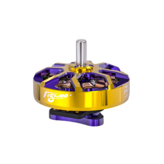 ROBO 1002 19800KV Motor By Flywoo