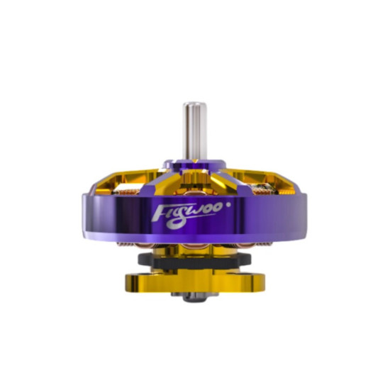 ROBO 1002 23500KV Motor By Flywoo