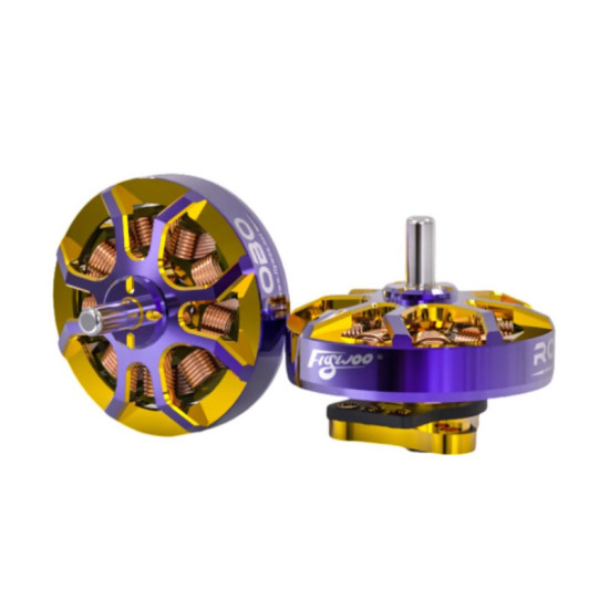 ROBO 1002 23500KV Motor By Flywoo