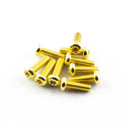 PiratFrames - Torx screws M3x10mm gold button head (10pcs)