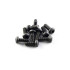 PiratFrames - Torx screws M3x8mm black button head (10pcs)