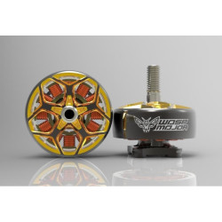 Rcinpower Wasp Major 22.6-6.6 - 2020kv
