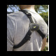 Chest Rig By Torvol