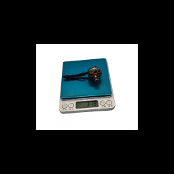 Wasp Major V2 - 22.6-6.6 1980KV Motor - Rcinpower